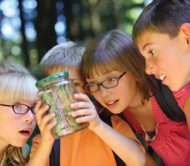 Sending the kids to day camp may bring a tax break